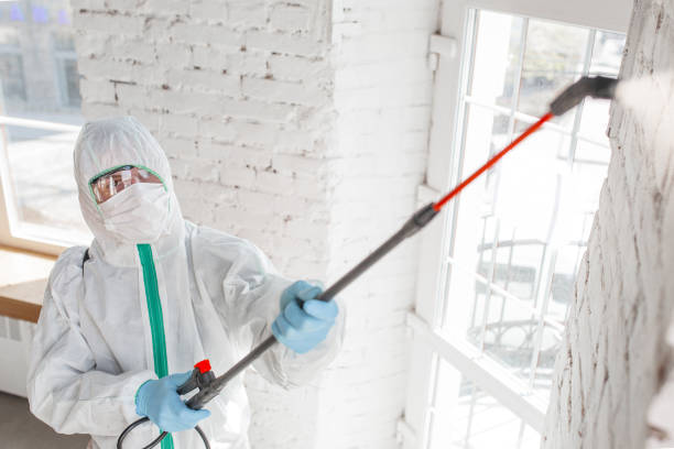 Asbestos and Lead Testing During Mold Inspection in Clifton, AZ