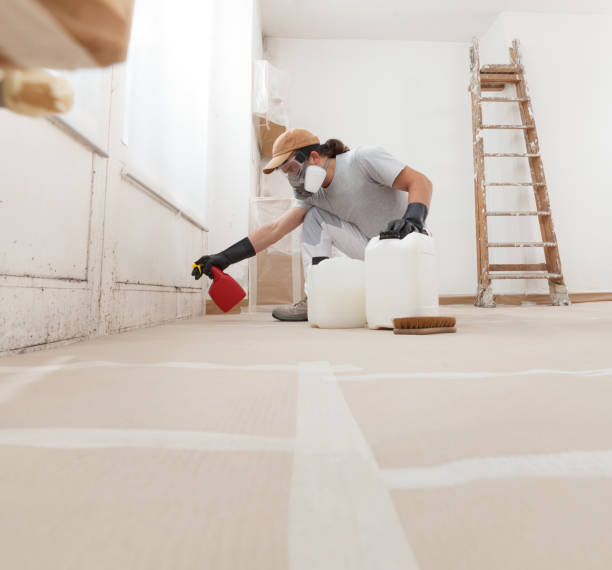 Best Post-Construction Mold Inspection  in Clifton, AZ